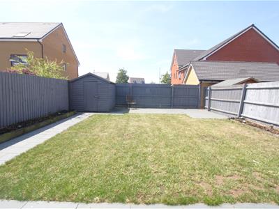 Picture 16